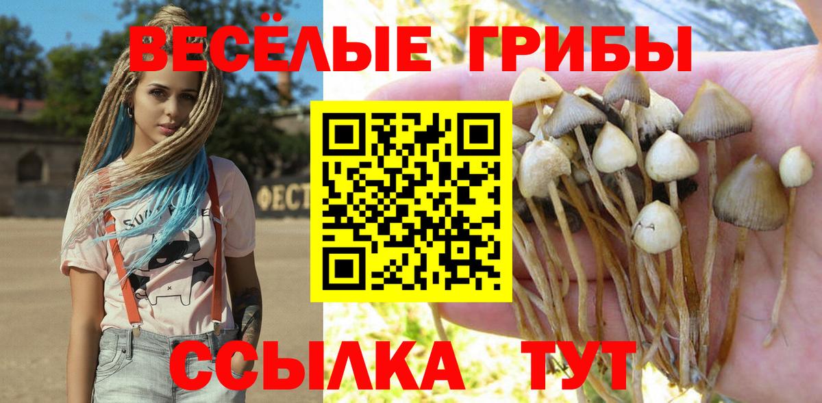 Псилоцибиновые грибы мухоморы Острогожск