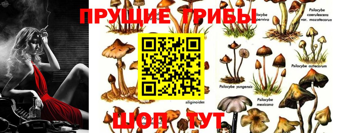 Острогожск  Псилоцибиновые грибы ЛСД  Вход с VPN 